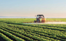 Le Maroc veut assurer 1,2 million d’hectares de terres cultivables