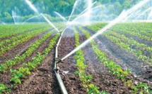 Le programme d'irrigation pour l'actuelle saison agricole se déroule dans des conditions normales malgré le retard des précipitations