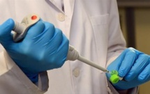 Santé : Streptocoque A, une infection qui a tué une enfant en France et 8 au Royaume-Uni