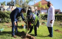 Berrechid : Implantation de 2023 arbres