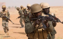 Sahel : Démonstration de force de l'Etat islamique