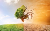 Le coût du changement climatique au Maroc dépasse les 570 millions de dollars par an