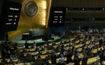 Guerre en Ukraine : Vers un Sommet pour la paix à l'ONU "fin février" ?