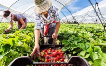 Agriculture : Les saisonnières marocaines arriveront cette semaine à Huelva