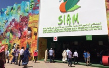 15ème édition du Salon International de l’Agriculture au Maroc : Catalyseur d’opportunités, le SIAM allie technologies et recherches