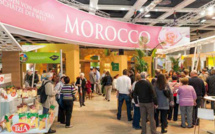 Semaine Verte Internationale de Berlin: les opérateurs marocains découvrent les exigences européennes 