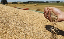 Baitas : « Le changement climatique refaçonne notre agriculture »