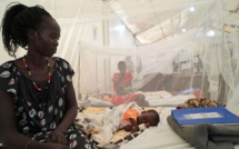 Santé L'OMS : alerte contre les maladies tropicales négligées