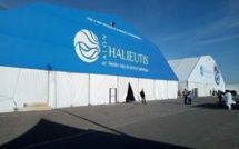 Economie bleue : Le Salon Halieutis est de retour du 1 au 5 février