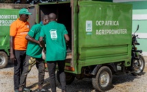 Engrais : le gouvernement tanzanien  s'accroche à l'expertise de l'OCP 