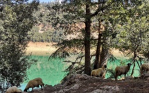 Écotourisme : Khénifra en quête d’un modèle efficace