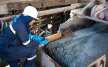 Le Maroc 11ème producteur mondial de cobalt en 2022