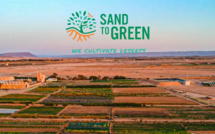 Financement de plantations en milieu aride au Maroc : Quand Sand to Green déploie son modèle innovant