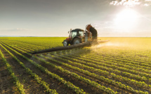 Agriculture : L’intersaison agricole pendue au fil des pluies