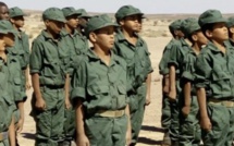 Enfants soldats : La coalition pour la protection des enfants des camps de Tindouf tire la sonnette d’alarme