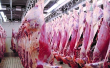 Viandes rouges : Délai triennal pour le redressement du cheptel national