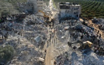 Séisme en Turquie et en Syrie : la production alimentaire de base impactée (FAO)