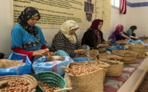 PCNS : Le secteur coopératif agricole marocain, un acteur clé de l'auto-emploi