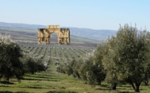 Meknès : Vers la création d’un Parc naturel Volubilis-Zerhoun