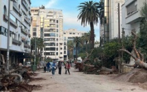 Conseil-Sidi Belyout : L’abattage d’arbres suscite une vive polémique
