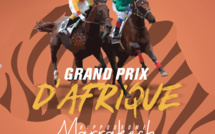 Courses de chevaux : Marrakech  abrite le Grand Prix d’Afrique