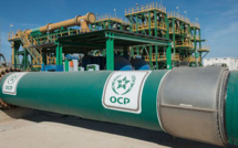 L'OCP améliore son chiffre d'affaires de 36% en 2022 
