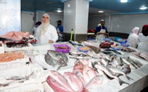 Parcours de femme  : Naïma, épanouie comme un poisson dans l’eau