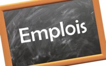 Emploi : Quel rôle pour l’université pour un environnement de travail en constante évolution ? 