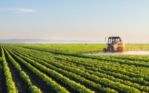 Berrechid : Les pluies de l’espoir pour les agriculteurs