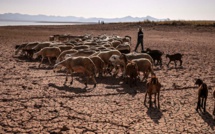 Le changement climatique au cœur d’un atelier à Rabat