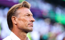 Football français : Hervé Renard prochain sélectionneur de l'équipe de France