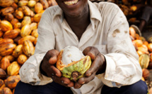Maroc / Côte d’Ivoire : OCP fait don de 10.000 tonnes d'engrais aux producteurs de cacao ivoiriens