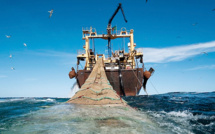 Accord de pêche : Bruxelles cherche une alternative en attendant l'arrêt final de la Cour de Justice de l'UE