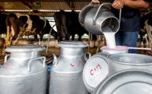 Ramadan : Les prix du lait résistent à la hausse