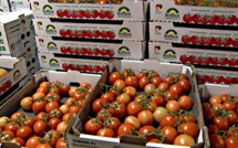 Légumes : le gouvernement maintient l'interdiction d'exportation des tomates