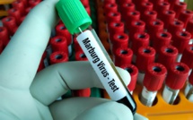 Santé : L’OMS craint une transmission plus large du virus de Marburg