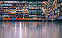 Rats, fourmis et nuisibles : Secrets de l’étonnante immunité des supermarchés