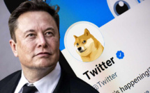 Twitter : l’oiseau bleu se métamorphose en tête de chien, le Dogecoin explose