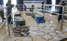 Mehdia: 20 Millions de DH pour la nouvelle halle aux poissons
