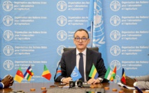 Gabon / FAO : Les financements innovants et verts en débat