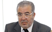 Khalil Hachimi Idrissi : poings de vue