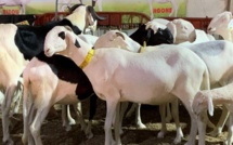 RCI-Salon du bétail: Accroître le levier commerce régional