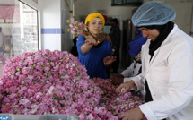 Kelâat M'Gouna: 50.000 visiteurs attendus au Salon de la rose à parfum