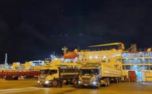 Bétail : Des veaux uruguayens en route vers le Maroc