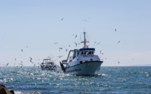 Le Maroc sanctionnera les armateurs nationaux qui pêchent illégalement en Méditerranée