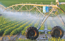 Projets d’agrégation agricole: Voici les détails du soutien approuvé par le gouvernement