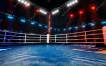 Boxe : Le Maroc prend part aux championnats du monde à Tachkent