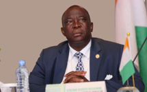 Entretien avec le ministre ivoirien de l'agriculture: Repenser le modèle de développement agricole africain
