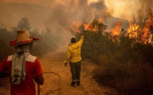 Feux de forêts : Qui est responsable des 500 incendies signalés en 2022 ?