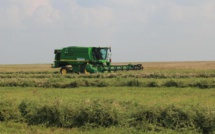 Sécurité alimentaire et innovation agricole : La stratégie gagnante du Maroc